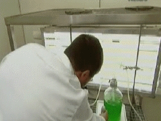 VIDEOS SWF GIF PREVENCION  LABORATORIO (1)